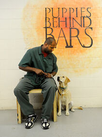 Watch Puppies Behind Bars