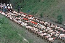 Watch The Finishing Line (Short 1977)