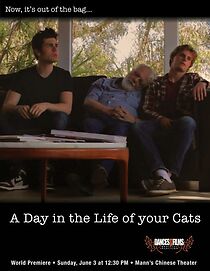 Watch A Day in the Life of Your Cats (Short 2012)