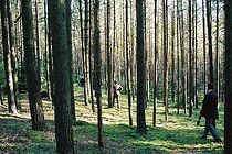 Watch Katyn Forest