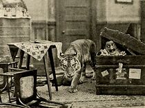 Watch A Tammany Boarder (Short 1913)