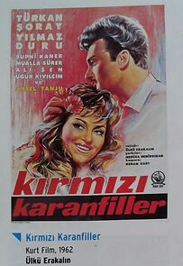 Watch Kirmizi karanfiller