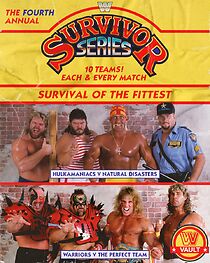 Watch Survivor Series (TV Special 1990)