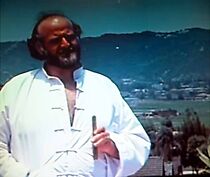 Watch The Chinese Caper