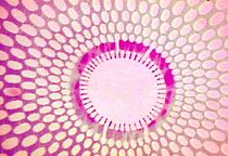 Watch Intermittent Delight (Short 2007)