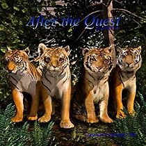 Watch Tigers' Quest III: After the Quest