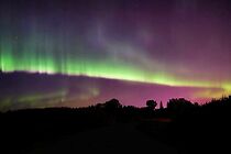 Watch The Northern Lights