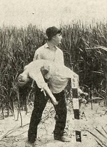 Watch The Toll of the Marshes (Short 1913)