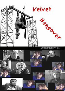 Watch Sametová kocovina