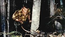 Watch Trees Are a Crop (Short 1950)
