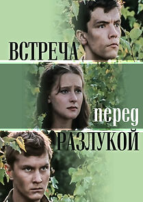 Watch Vstrecha pered razlukoy