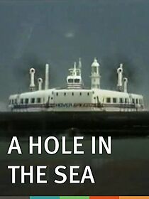 Watch A Hole in the Sea (Short 1994)