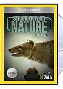 Watch Stranger Than Nature
