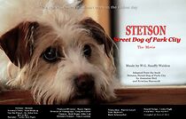 Watch Stetson, Street Dog of Park City (Short 2012)