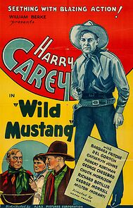 Watch Wild Mustang
