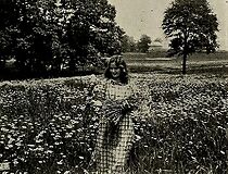 Watch Under the Daisies; or, As a Tale That Is Told (Short 1913)