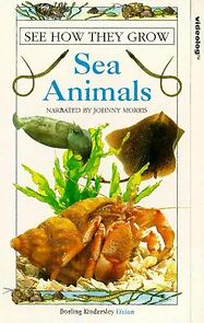 Watch See How They Grow: Sea Animals (Video)