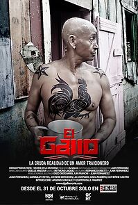 Watch El Gallo
