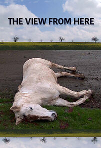 Watch The View from Here (Short 2012)