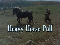 Watch Heavy Horse Pull (Short 1977)