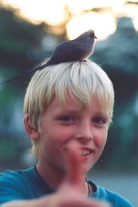 Watch My African Diary (Short 1999)