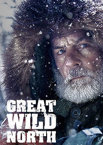 Watch Great Wild North