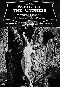 Watch The Soul of the Cypress (Short 1921)