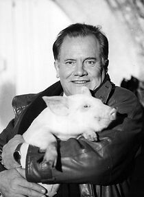 Watch La guerre du cochon