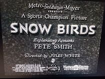 Watch Snow Birds (Short 1932)