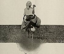 Watch A Wild Ride (Short 1913)