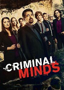 Watch Criminal Minds