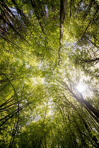 Watch Consequences (Short 2008)