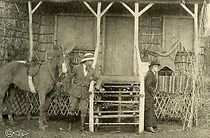 Watch A Wise Old Elephant (Short 1913)