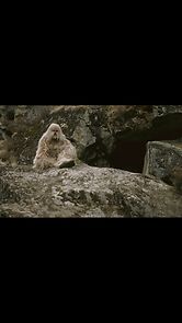 Watch Yeti, le cri de l'homme des neiges