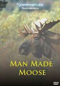 Watch Man Made Moose