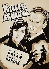 Watch Killer at Large