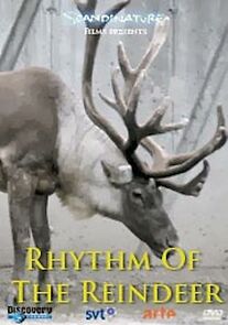 Watch Rhythm of the Reindeer