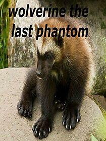 Watch Wolverine: The Last Phantom