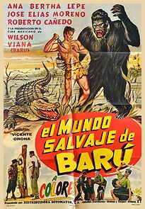 Watch El mundo salvaje de Barú