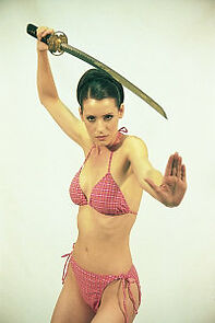 Watch Agent 15 (Short 2001)