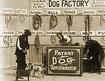 Watch Dog Factory (Short 1904)