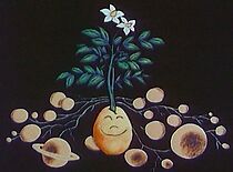 Watch Eventyret om den vidunderlige kartoffel (Short 1985)