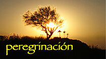 Watch Peregrinación (Short 2008)