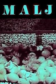 Watch Malj (Short 1977)