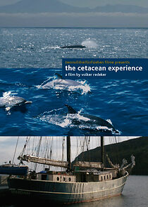 Watch The Cetacean Experience