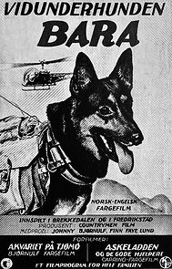 Watch Vidunderhunden bara (Short 1961)