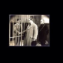 Watch Studenterkammeraterne