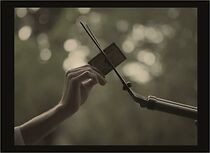 Watch Pigs (Short 2016)