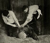 Watch The Grain Speculator (Short 1913)