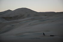 Watch Of Truth and Other Demons (Short 2005)